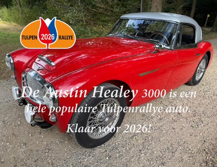 Austin Healey 3000 MKII BT7, Auto's, Oldtimers, Particulier, Centrale vergrendeling, Lederen bekleding, Mistlampen, Sportstoelen