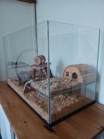 Glazen terrarium kleine knaagdieren/reptielen  beschikbaar voor biedingen
