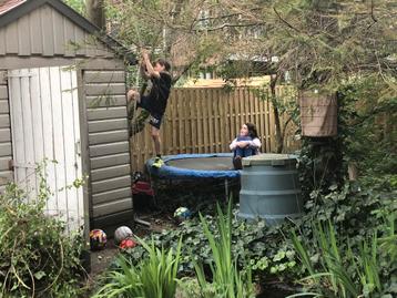 Trampoline  beschikbaar voor biedingen