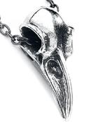 Gothic Raven Schedel met 80cm ketting Wicca / Viking / Skull, Ophalen, Nieuw, Zilver, Overige materialen