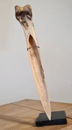 Asmat benen dolk ⚜ Kasuaris ⚜ Nieuw Guinea ⚜ Tribal Art, Antiek en Kunst, Kunst | Niet-Westerse kunst, Ophalen of Verzenden