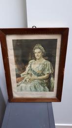 Koningin WILHELMIA IN OUDE LIJST 47X35, Gebruikt, Ophalen of Verzenden, Kaart, Foto of Prent