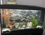 Mooi groot aquarium met kast, Dieren en Toebehoren, Ophalen, Zo goed als nieuw, Leeg aquarium