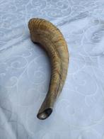 Hoorn van een ram , shofar van +- 20 centimeter., Ophalen of Verzenden