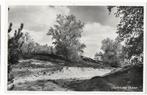 Udenhout, Udenhoutse Duinen, zandverstuivingen, Verzamelen, Ansichtkaarten | Nederland, Verzenden, 1940 tot 1960, Ongelopen, Noord-Brabant