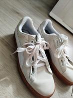 PUMA Basket Trainers - Crème/Wit 39 nieuw, Beige, Nieuw, Ophalen of Verzenden, Sneakers of Gympen
