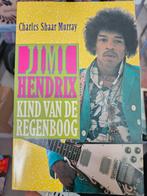 Jimi Hendrix - kind van de regenboog, Ophalen of Verzenden, Gelezen, Charles Shaar Murray