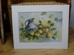 mooie Aquarel print stilleven fruit met kan, Ophalen of Verzenden, Minder dan 50 cm, 50 tot 75 cm, Print