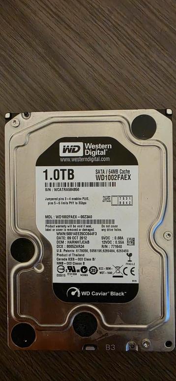 WD Caviar Black 1TB HDD - SATA beschikbaar voor biedingen