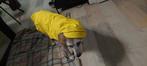 Regenjas voor honden nieuw, Ophalen of Verzenden, Nieuw, Hondenregenjas