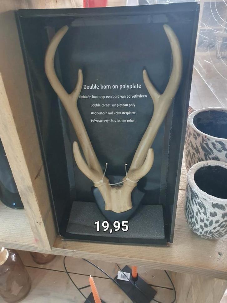 Nieuw decoratief gewei op polyplate, Huis en Inrichting, Woonaccessoires | Wanddecoraties, Nieuw, Ophalen of Verzenden