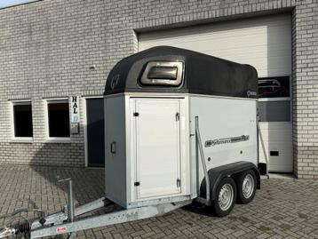 In TOP STAAT Henra Performance 1.5 paards paardentrailer ALU beschikbaar voor biedingen