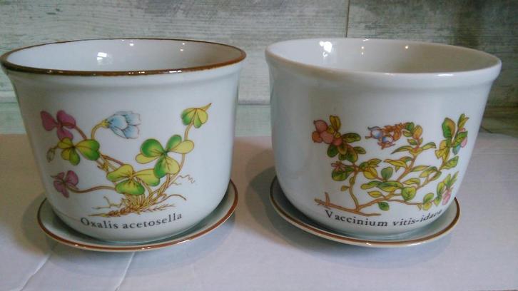 Vintage bloempotten botanica porselein 2 met schaal Ø 13,5cm, Tuin en Terras, Bloempotten, Zo goed als nieuw, Binnen, Rond, Ophalen of Verzenden