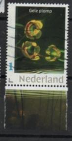 kwq ‹(•¿•)› nl i0154 waterplanten - gele plomp, Ophalen, Na 1940, Gestempeld