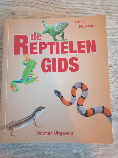 Reptielengids - Chris Mattison, Boeken, Natuur, Zo goed als nieuw, Natuur algemeen, Ophalen of Verzenden