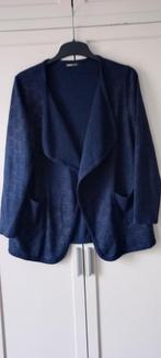 Frank Walder vest maat 40/42 zgan, Kleding | Dames, Truien en Vesten, Blauw, Maat 42/44 (L), Ophalen of Verzenden, Zo goed als nieuw