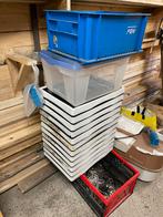 13 boodschappen kratten, Ophalen, Gebruikt, Krat, Minder dan 35 cm