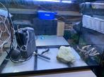 Aqaurium super fish model start 100, Dieren en Toebehoren, Vissen | Aquaria en Toebehoren, Ophalen, Gebruikt, Leeg aquarium