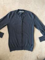 Grijs vest van 100% wol Sissy Boy, Kleding | Dames, Truien en Vesten, Maat 38/40 (M), Sissy-Boy, Ophalen of Verzenden, Zo goed als nieuw