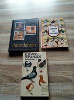 sierduiven 3 boeken, Dieren en Toebehoren, Vogels | Duiven