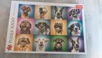 Trefl puzzel honden 1000 stukjes, Hobby en Vrije tijd, Denksport en Puzzels, Ophalen of Verzenden, 500 t/m 1500 stukjes, Legpuzzel