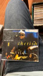 Papa bear, Ophalen of Verzenden, Zo goed als nieuw, Pop