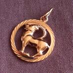 Hanger Sterrenbeeld Steenbok Doublé, Verzenden, Zo goed als nieuw, Zilver, Overige materialen