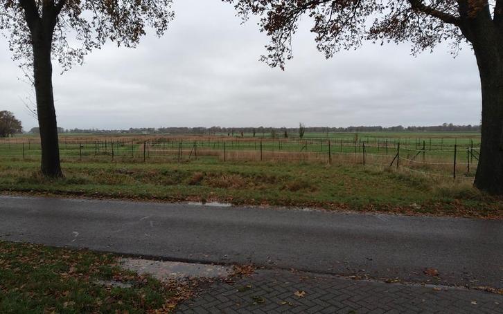 Afrastering/ omheining1,5 ha paardenweiland - geïmpregneerd, Dieren en Toebehoren, Paarden en Pony's | Overige Paardenspullen