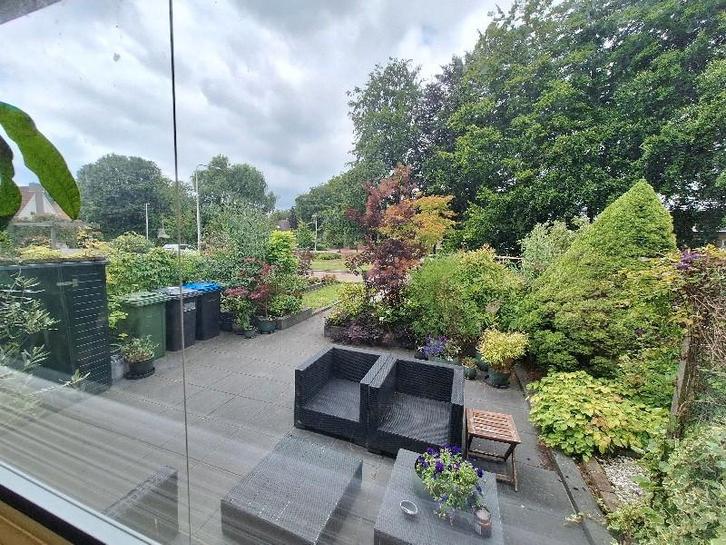 Gezocht: volwassen hond die huis zoekt, type golden, Dieren en Toebehoren, Honden | Retrievers, Spaniëls en Waterhonden, Geslacht onbekend