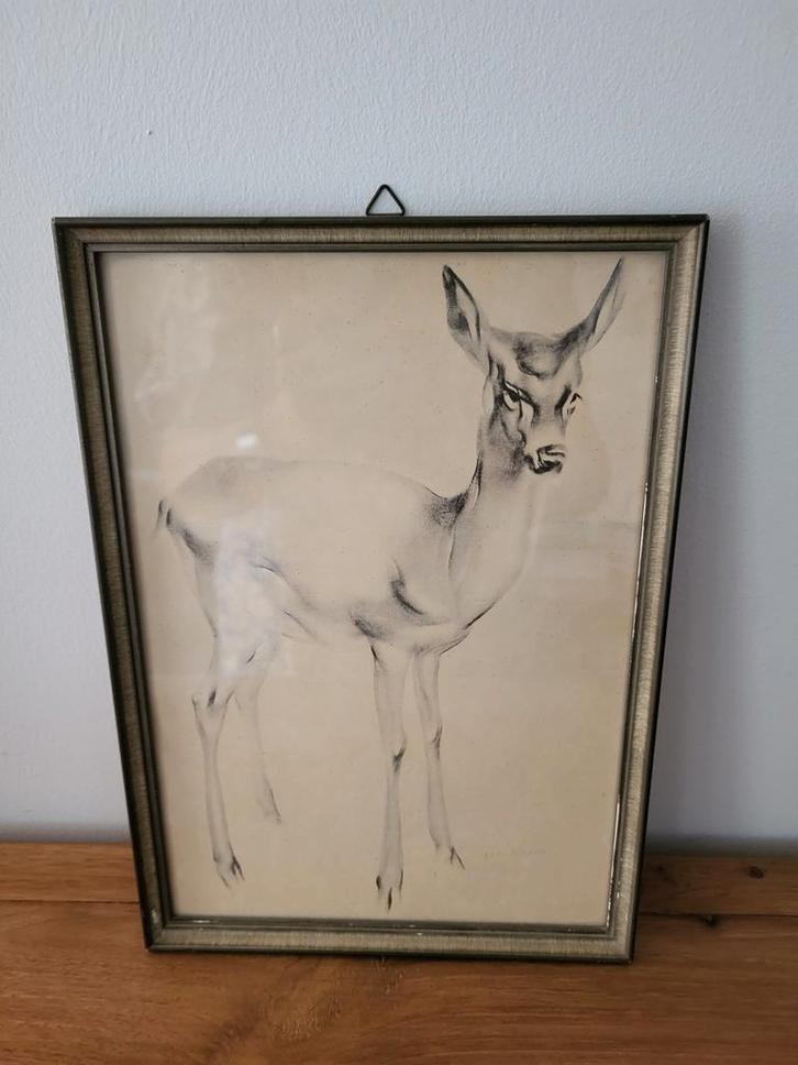Van Meegeren Hertje - Ingelijst, 50s, Antiek en Kunst, Kunst | Tekeningen en Foto's, Ophalen of Verzenden