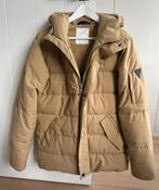 Winterjas van Pure white, Beige, Ophalen of Verzenden, Zo goed als nieuw, Purewhite