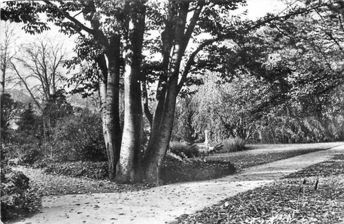 (380-089-033) Leiden Hortus Botanicus, Verzamelen, Ansichtkaarten | Nederland, Zuid-Holland, Verzenden
