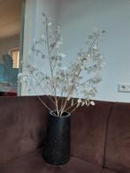 Droogbloemen wit crème judaspenning, Ophalen of Verzenden, Zo goed als nieuw