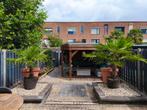 2 Trachycarpus fortunei, 100 tot 250 cm, Palmboom, Ophalen, Volle zon