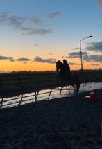 Bijrijdster aangeboden bijrijd/verzorgpony gezocht, Dieren en Toebehoren, Paarden en Pony's | Overige Paardenspullen, Ophalen of Verzenden