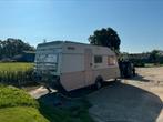 Kip Greyline caravan met stapelbed, Rondzit, Kip, 60 kg, 750 - 1000 kg