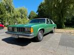 Oldsmobile 1981 Groen, Auto's, 121 pk, 5737 cc, 1909 kg, Diesel