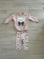 H&M setje poezen maat 74, Ophalen of Verzenden, Zo goed als nieuw, Meisje