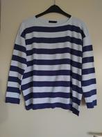 trui Pescara blauw maat XXL, Kleding | Dames, Truien en Vesten, Blauw, Maat 46/48 (XL) of groter, Pescara, Ophalen of Verzenden