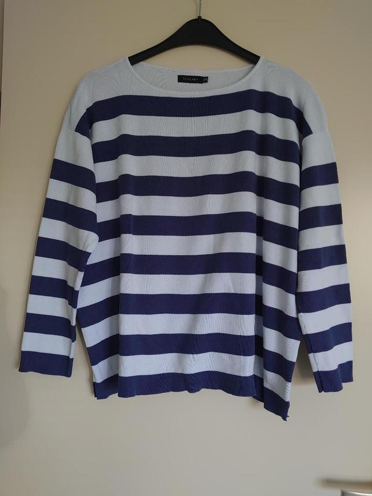trui Pescara blauw maat XXL, Kleding | Dames, Truien en Vesten, Zo goed als nieuw, Maat 46/48 (XL) of groter, Blauw, Ophalen of Verzenden