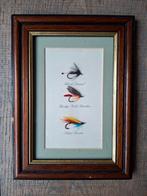 Oud lijstje met vis vliegjes erin ,vliegvissen, Watersport en Boten, Hengelsport | Vliegvissen, Gebruikt, Overige typen, Ophalen of Verzenden