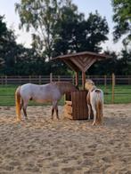 Hooihuizen hooibak slowfeeder hooiruif, Dieren en Toebehoren