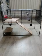 Nette hamsterkooi. 51x33x28,5, Kooi, Minder dan 75 cm, Zo goed als nieuw, Ophalen