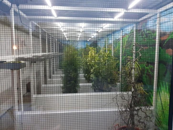 Avicultuur-LED gespecialiseerd in verlichting voor vogels, Dieren en Toebehoren, Vogels | Toebehoren, Nieuw, Ophalen of Verzenden