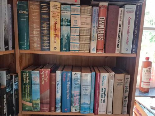 Zin in zon, rust en een streekroman?, Boeken, Streekboeken en Streekromans, Gelezen, Noord-Brabant, Ophalen of Verzenden