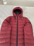 Bordo kleurige Peuterey jas , 2 keer gedragen maat xs, Kleding | Heren, Jassen | Zomer, Overige kleuren, Nieuw, Ophalen of Verzenden