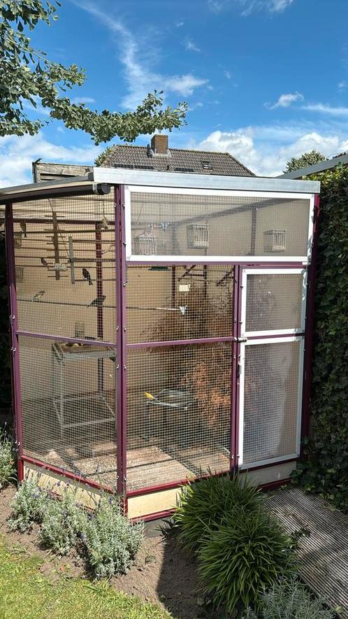 Vogelkooi met voorzet ramen, Dieren en Toebehoren, Vogels | Hokken en Kooien, Zo goed als nieuw, Vogelkooi, Ophalen of Verzenden