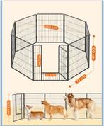 Puppyren Feandrea, Dieren en Toebehoren, Ophalen of Verzenden, Nieuw