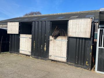 Zeer degelijke nette Containerstal beschikbaar voor biedingen