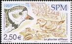 SINT PIERRE & MIQUELON 2 - Dieren: vogels (dwergplevier), Ophalen of Verzenden, Dier of Natuur, Postfris